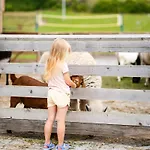 Ξενοδοχείο Doslonce Wellnes & Farm
