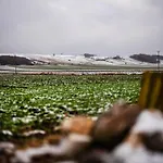 Doslonce Wellnes & Farm Ξενοδοχείο
