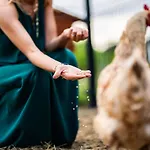 Ξενοδοχείο Doslonce Wellnes & Farm Racławice