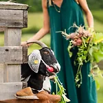 Doslonce Wellnes & Farm