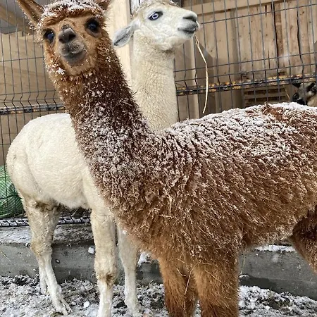 Doslonce Wellnes & Farm 4* Racławice