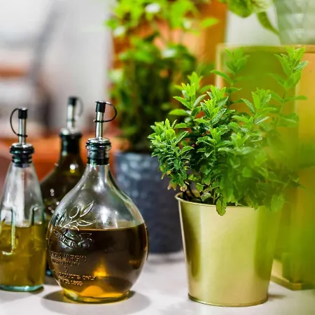 Doslonce Wellnes & Farm Racławice