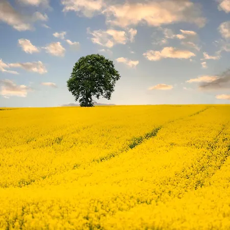 Doslonce Wellnes & Farm Racławice