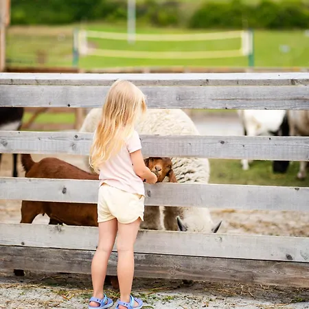 Hotel Doslonce Wellnes & Farm