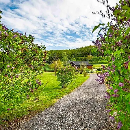 Hotel Doslonce Wellnes & Farm