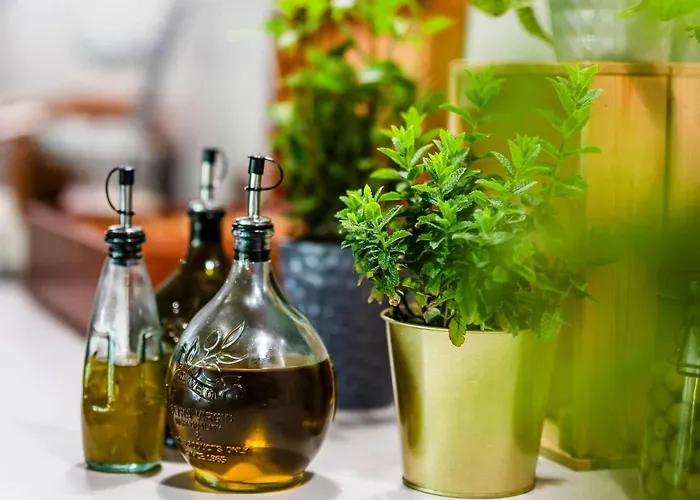 Doslonce Wellnes & Farm Raclawice