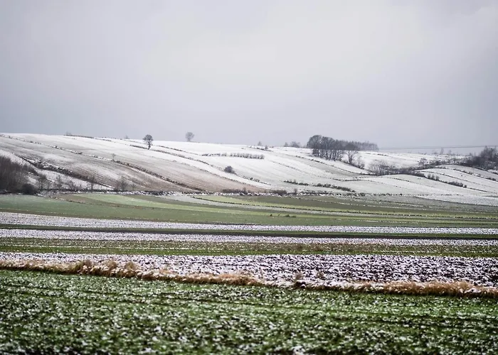 Doslonce Wellnes & Farm