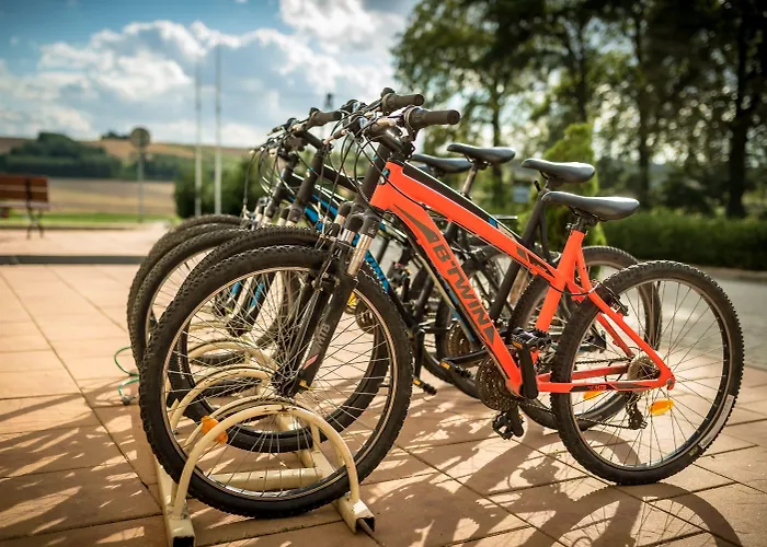 Doslonce Wellnes & Farm 4* Raclawice